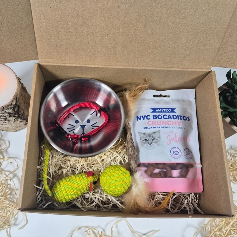 Kit de Bienvenue Chat – Image 2