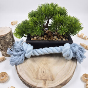 Jouet corde pour chien — Bleu — Grand modèle (30 cm)