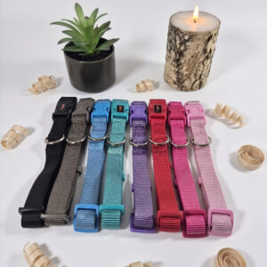 Collier en nylon tressé pour chien — Taille M (Moyen)