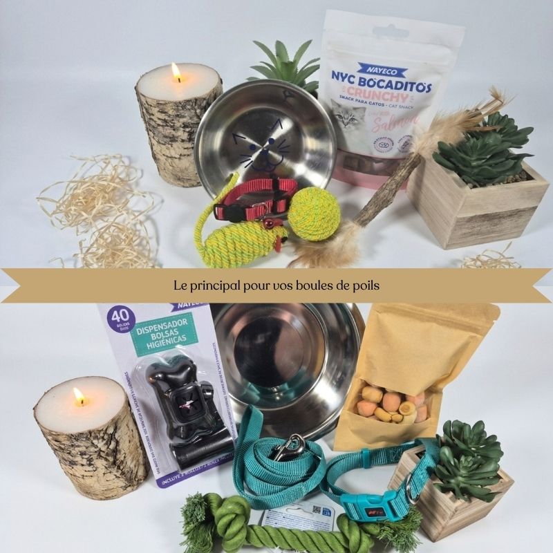 Coffrets et kits